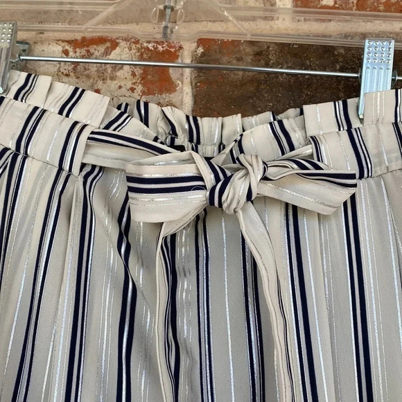 Zara Basic Metallic Striped Paper Bag Crop Pants - Picture 6 of 10